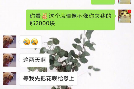 衡阳融资清欠服务